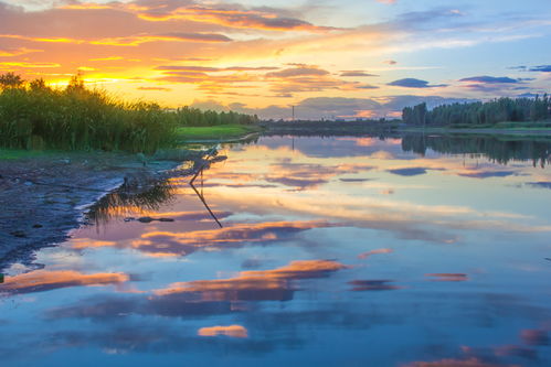 光影定格，見證榮耀——伊比沙杯廊坊首屆攝影大展獲獎公示暨專業攝像服務回顧